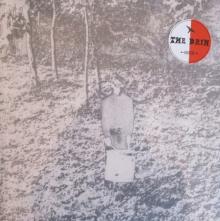  DOWN RIVER IN THE DISTANCE [VINYL] - supershop.sk