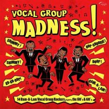 VARIOUS  - VINYL VOCAL GROUP MADNESS [VINYL]