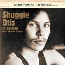  IN SESSION [VINYL] - suprshop.cz