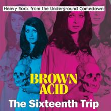 VARIOUS  - CD BROWN ACID: THE 16TH TRIP