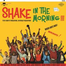 VARIOUS  - VINYL SHAKE IN THE MORNING!!! [VINYL]