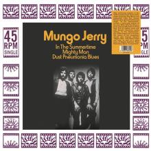 MUNGO JERRY  - VINYL IN THE SUMMERTIME [VINYL]