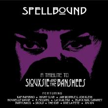 VARIOUS  - CD SPELLBOUND - A TR..