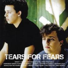 TEARS FOR FEARS  - CD ICON