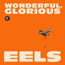 EELS  - 2xCD WONDERFUL, GLORIOUS