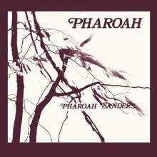  PHAROAH [VINYL] - suprshop.cz