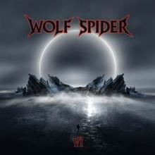 WOLF SPIDER  - CD VI