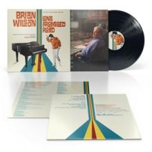  BRIAN WILSON LONG PROMISED ROAD [VINYL] - suprshop.cz