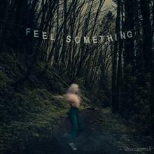  FEEL SOMETHING [VINYL] - suprshop.cz