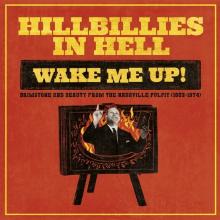 VARIOUS  - VINYL HILLBILLIES IN..