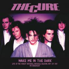 CURE  - VINYL WAKE ME IN THE..