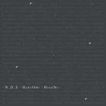 HOSONO HARUOMI  - 2xVINYL N.D.E. [VINYL]
