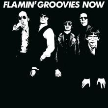 FLAMIN' GROOVIES  - VINYL NOW -COLOURED/..