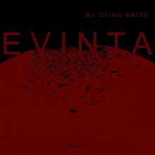  EVINTA -COLOURED- - supershop.sk