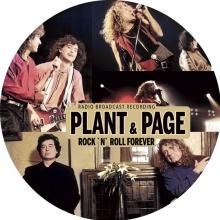 ROBERT PLANT / JIMMY PAGE  - VINYL ROCK`N`ROLL FO..