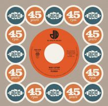 RUBBA / ROGER WEBB SOUND  - SI WAY STAR / MOON BIRD /7