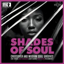  SHADES OF SOUL -.. -HQ- [VINYL] - supershop.sk