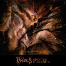  OPEN THE OTHERNESS -EP- [VINYL] - suprshop.cz
