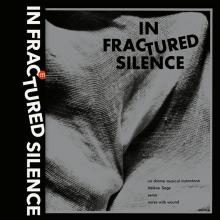 VARIOUS  - VINYL IN FRACTURED SILENCE [VINYL]