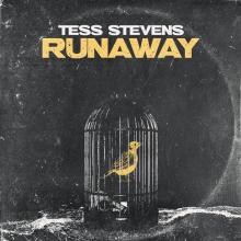 TESS & THE DETAILS  - VINYL RUNAWAY [VINYL]
