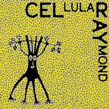 CEL RAY  - VINYL CELLULAR RAYMOND [VINYL]