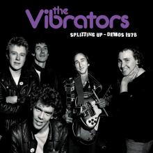  SPLITTING UP THE DEMOS 1978 [VINYL] - suprshop.cz