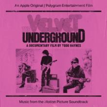  VELVET UNDERGROUND: A DOCUMENTARY FILM BY TODD - supershop.sk