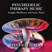 HALPERN STEVEN  - CD PSYCHEDELIC THERA..