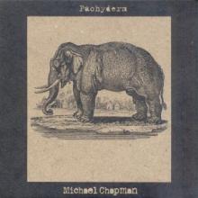 CHAPMAN MICHAEL  - VINYL PACHYDERM [VINYL]