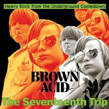VARIOUS  - CD BROWN ACID: THE 17TH TRIP
