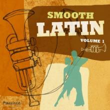 VARIOUS  - CD SMOOTH LATIN VOL.1