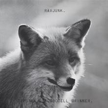 RAVJUNK  - VINYL UPPSALA STADSH..