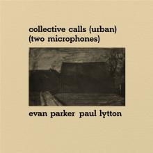 PARKER EVAN & PAUL LYTTO  - VINYL COLLECTIVE CAL..
