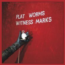 FLAT WORMS  - CD WITNESS MARKS