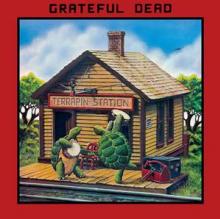 GRATEFUL DEAD  - VINYL TERRAPIN STATION [VINYL]