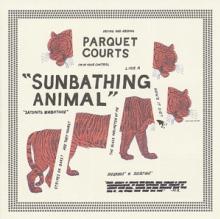 PARQUET COURTS  - VINYL SUNBATHING ANIMAL [VINYL]