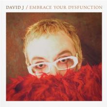 DAVID J  - CD EMBRACE YOUR DYSFUNCTION