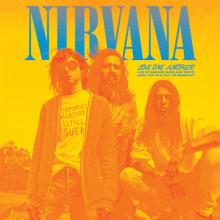 NIRVANA  - VINYL LOVE ONE ANOTH..