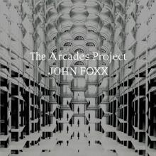 FOXX JOHN  - VINYL ARCADES PROJECT [VINYL]
