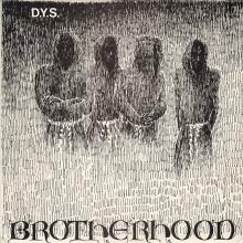 DYS  - VINYL BROTHERHOOD [VINYL]
