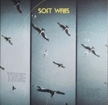 SOFT WALLS  - VINYL TRUE LOVE [VINYL]