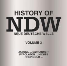  HISTORY OF NDW VOL. 3 [VINYL] - supershop.sk