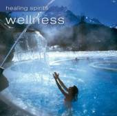 VARIOUS  - CD WELLNESS -12TR-