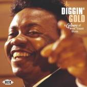 VARIOUS  - CD DIGGIN' GOLD: A G..