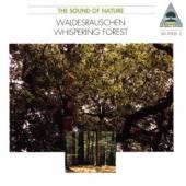 TILGNER WALTER  - CD WHISPERING FOREST