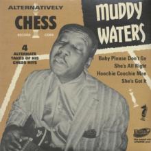 7-ALTERNATIVELY CHESS [VINYL] - supershop.sk