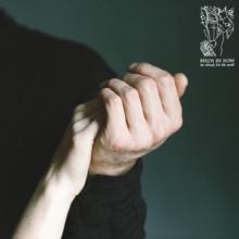 BIRDS IN ROW  - CD WE ALREADY LOST THE WORLD