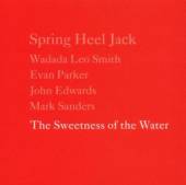 SPRING HEEL JACK WITH WADADA L..  - CD THE SWEETNESS OF THE WATER