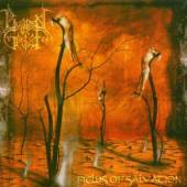 BURDEN OF GRIEF  - CD FIELDS OF SALVATION