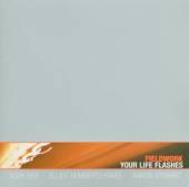 FIELDWORK  - CD YOUR LIFE FLASHES